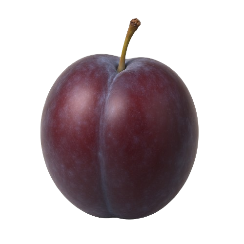 icon_blomme