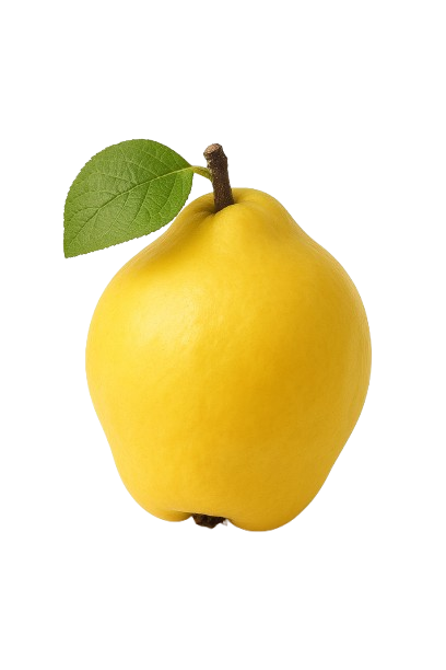 icon_kvæde