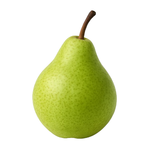 icon_pære