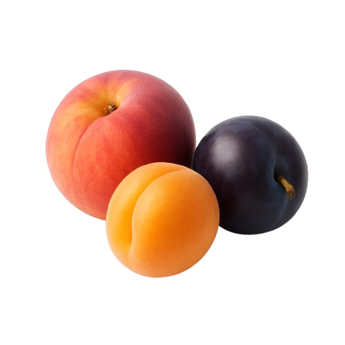 icon_stenfrugt