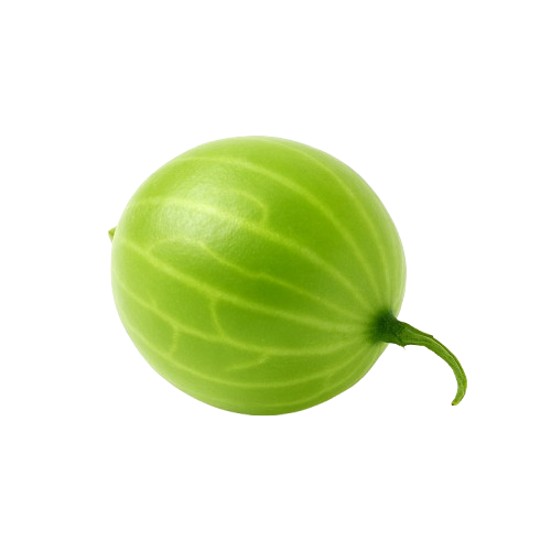icon_stikkelsbær