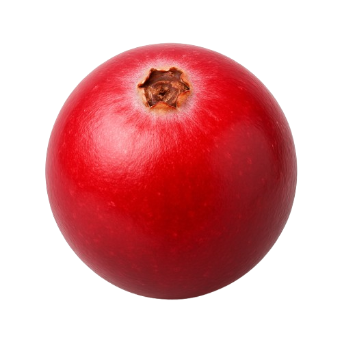 icon_tranebær