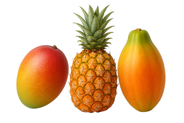 icon_tropisk frugt